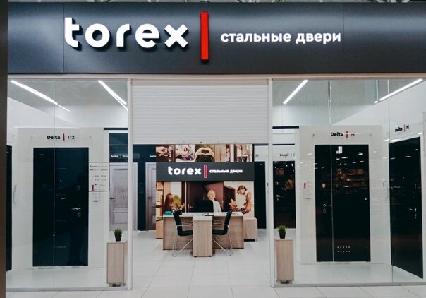 Стальные двери Torex | Пенза, ул. Чернышевского, 10А, Каменка